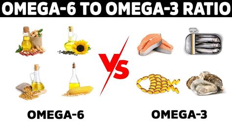 omega 6 in voeding|omega 6 voedingsstoffen.